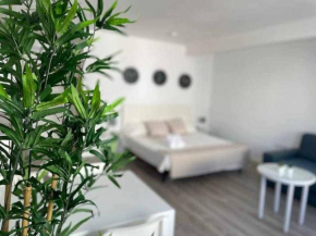 Acogedor y agradable estudio muy centrico - Arenal, Seville